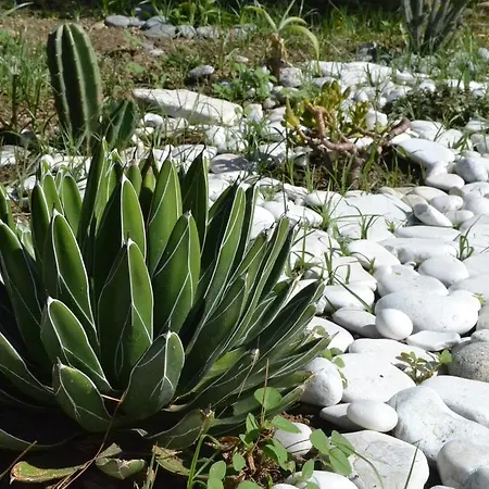 Frühstückspension La Casa A Mare 3*