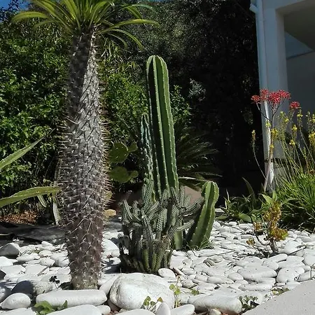 Frühstückspension La Casa A Mare Messina