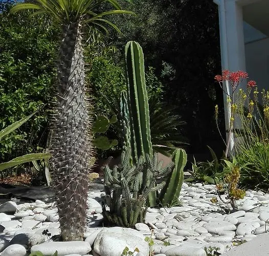 לינה וארוחת בוקר La Casa A Mare מסינה