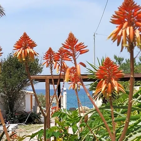 La Casa A Mare 3* Messina